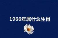 1966 年属什么